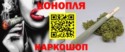 гидра Славгород