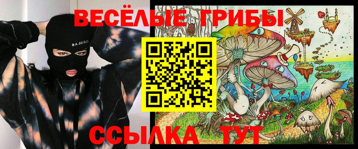 Галлюциногенные грибы ЛСД  Вход с VPN  где продают наркотики  Соль-Илецк 